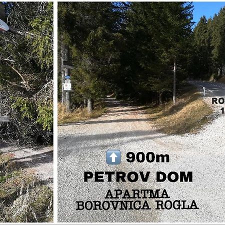 Apartma Borovnica Rogla Vitanje Zewnętrze zdjęcie