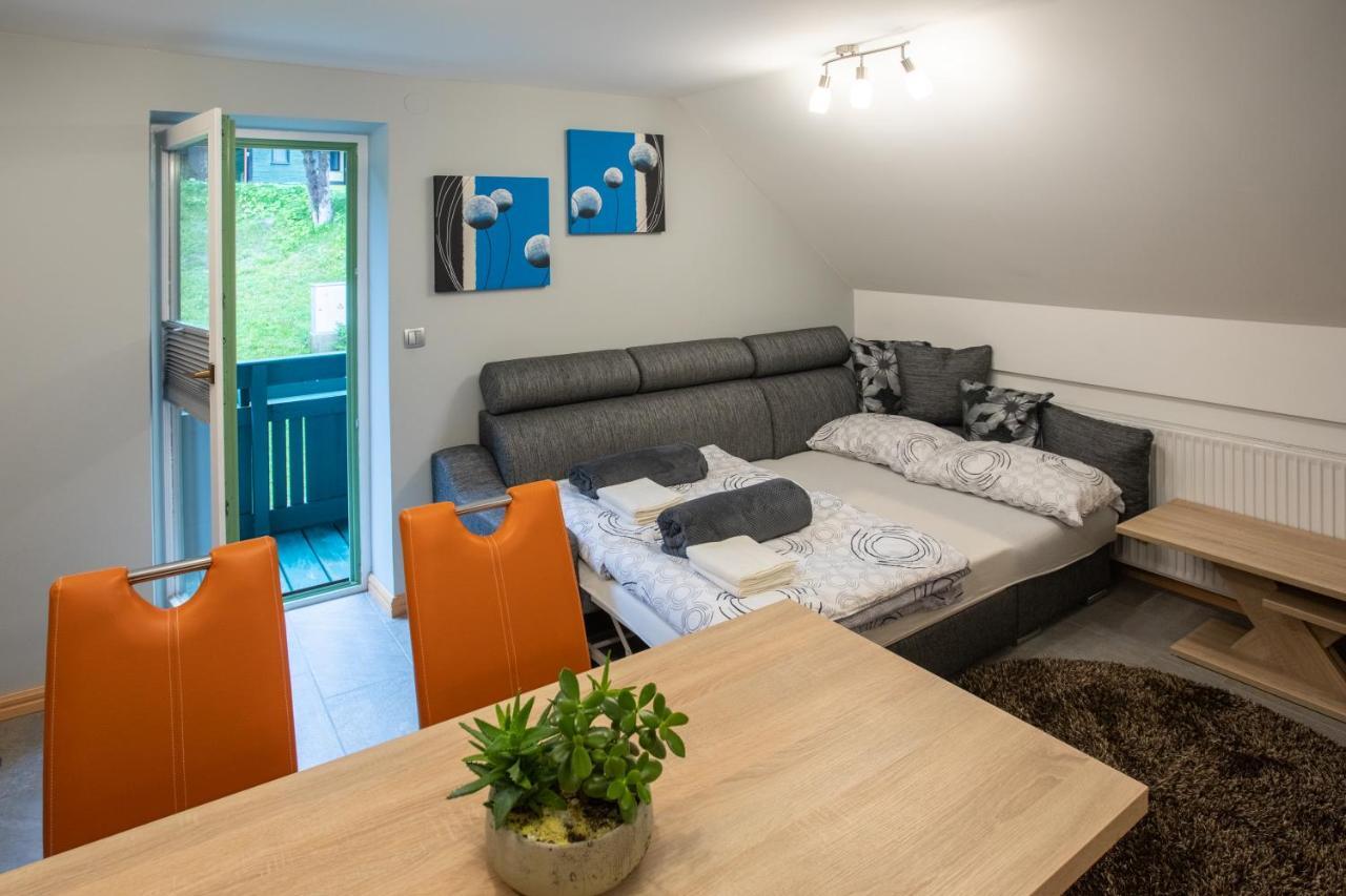 Apartma Borovnica Rogla Vitanje Zewnętrze zdjęcie