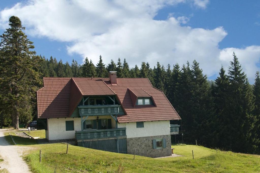 Apartma Borovnica Rogla Vitanje Zewnętrze zdjęcie