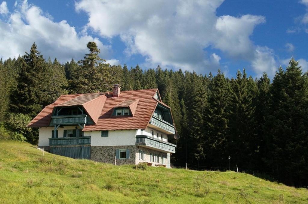 Apartma Borovnica Rogla Vitanje Zewnętrze zdjęcie