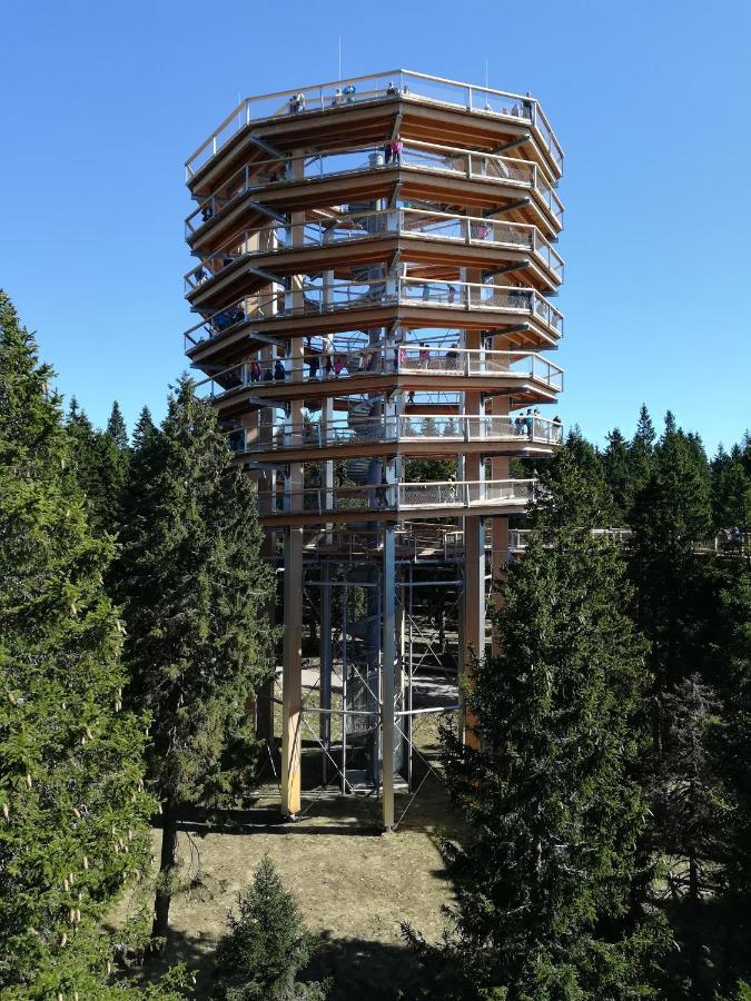 Apartma Borovnica Rogla Vitanje Zewnętrze zdjęcie