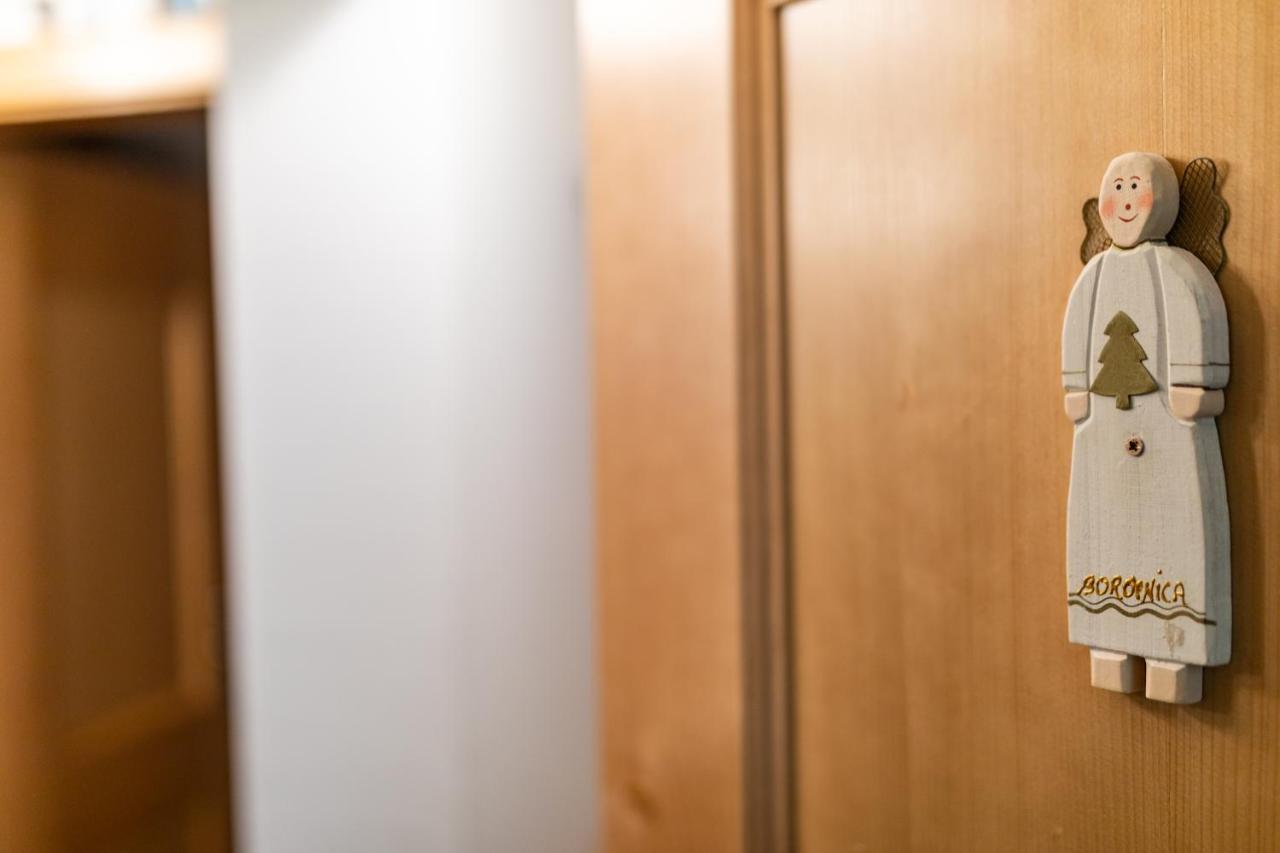 Apartma Borovnica Rogla Vitanje Zewnętrze zdjęcie