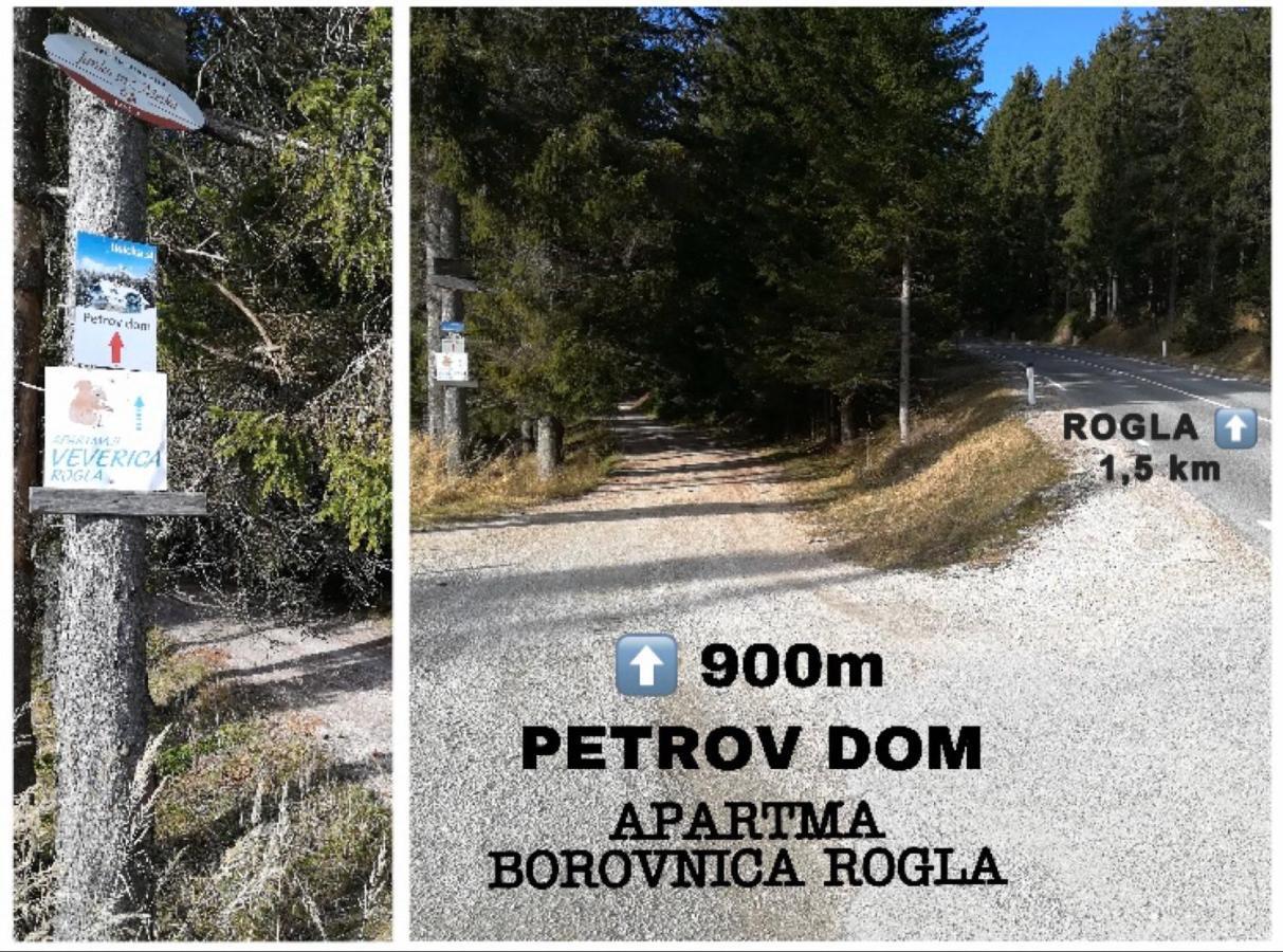 Apartma Borovnica Rogla Vitanje Zewnętrze zdjęcie